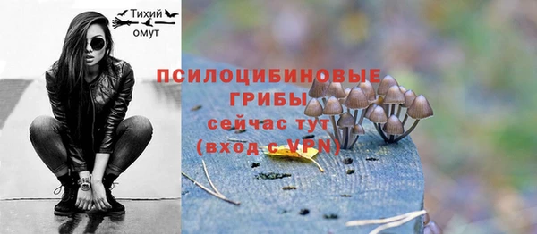 ECSTASY Бронницы