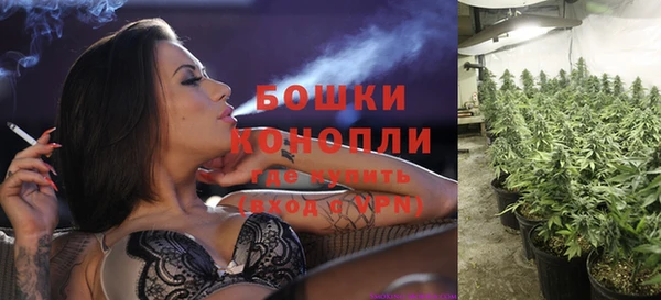 PSILOCYBIN Богданович